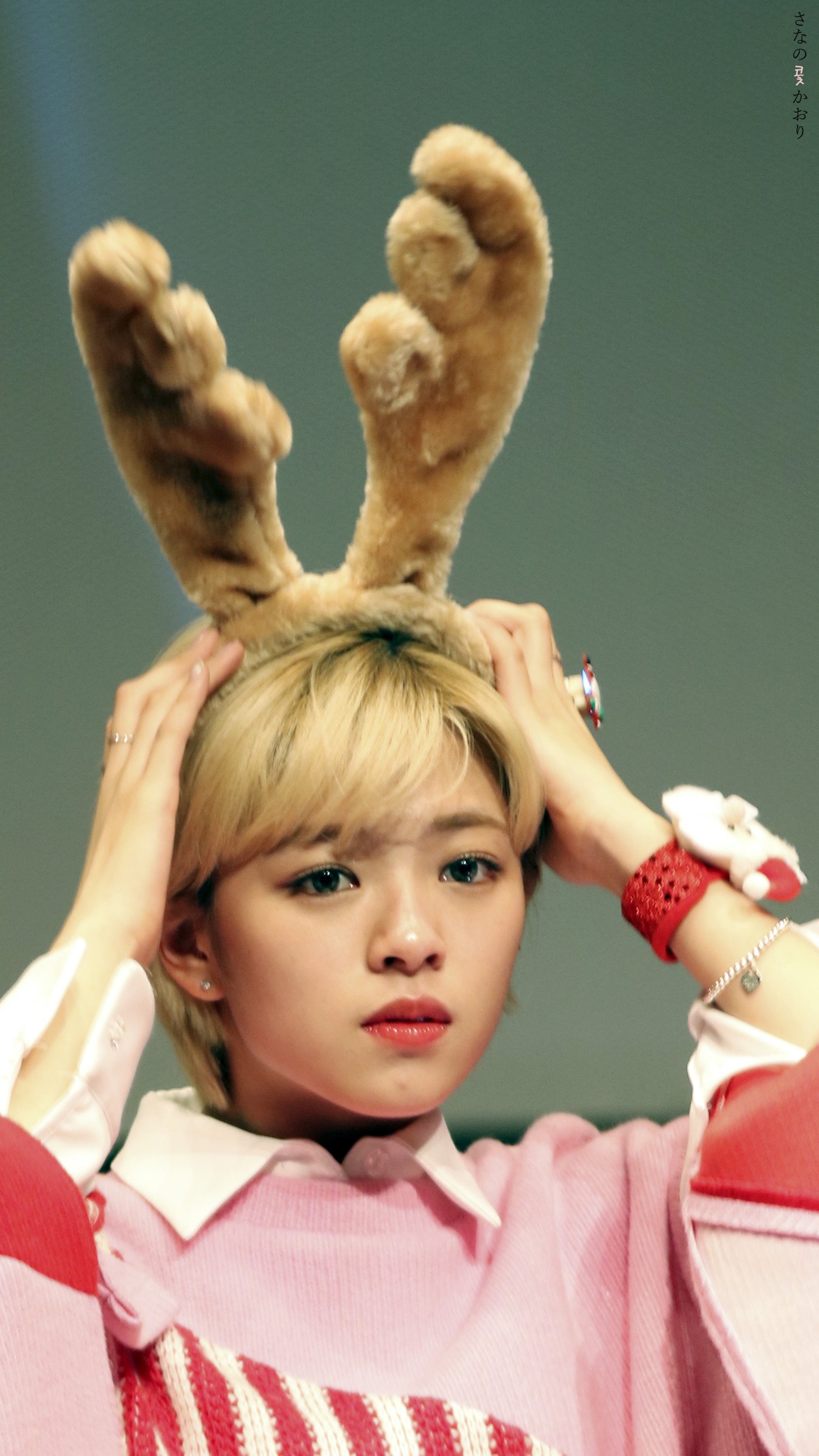 C7cU2F9UwAAemdF.jpg:orig