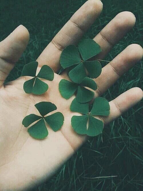 jjulianmarin's tweet image. Haz RT y tendrás suerte todo el 2017