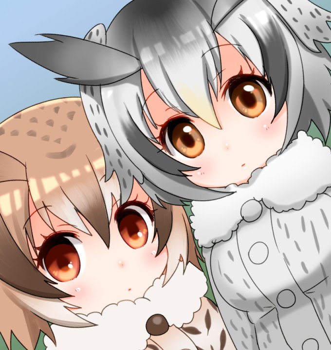 けものフレンズ フクロウ