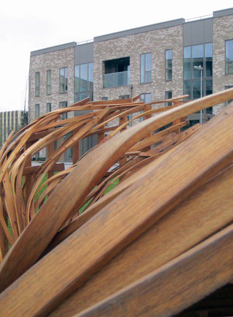 craftsmagazine's tweet photo. CLUSTER, a new site-specific sculpture by Laura Ellen Bacon using steam bent oak and chestnut, unveiled in the grounds of @Ninewells_Camb https://t.co/nwM7JvdaRl