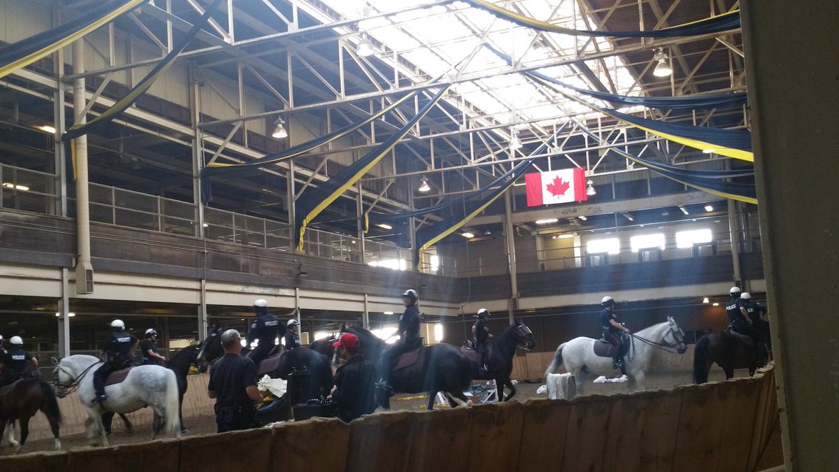 Early Tuesday morning at the TPD Mounted Unit 🐎

#tps #auxiliary #TPSMountedUnit