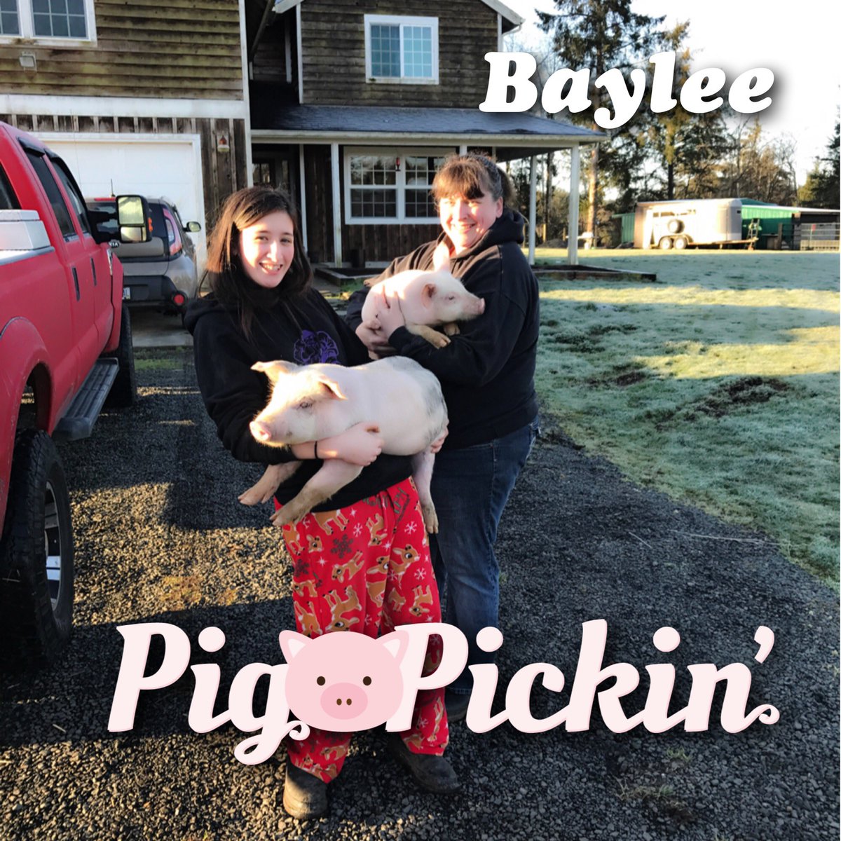 SarahlynnFinn's tweet photo. Sunday was Piggy Pick up day at the Finn Farm 💕🐷 #4h #showpigs #clatsopcounty #realpigfarming https://t.co/bGee122LkT