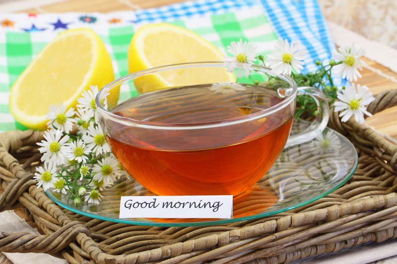 ExecTaxSoftware's tweet photo. Good morning, let's have an awesome day!
#TaxFranchiseSoftware
https://t.co/6IkPNVKkKd https://t.co/8AqHo9TXti