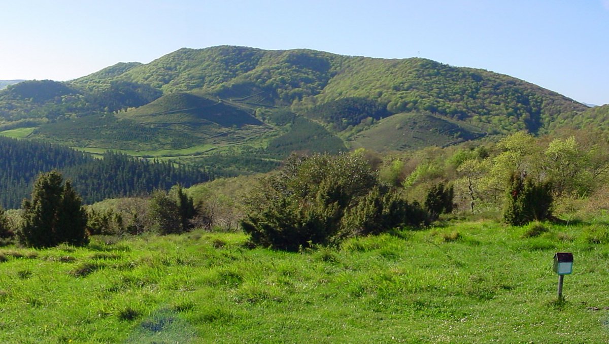 BerdeakEquo_VG's tweet image. En el #DiaInternacionaldelosBosques recordamos la ecoriqueza de Montes de Vitoria y la necesidad de protegerlos 
@lizmarerika @XabiMarrero