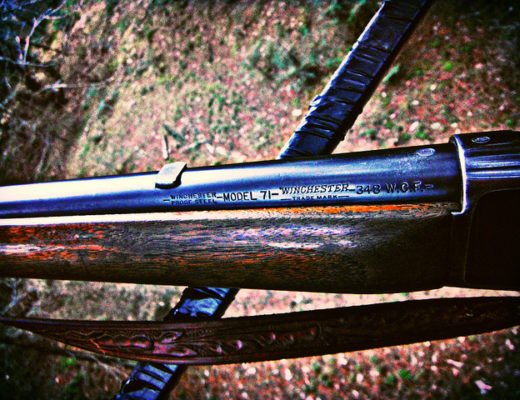 STROOP_film's tweet photo. TRAGIC NEWS
Apparent accidental shooting during anti-poaching operation led to death of @SANParksKNP field ranger
https://t.co/HZVHMSZaXJ https://t.co/1OY9N4fqAS