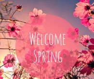 SPRING HAS SPRUNG!
Enjoy 20% Savings on your <a href="/PalmettoHalf/">Palm Half Marathon</a> or 5k entry!
Use Code: SPRING
palmettohalfmarathon.com