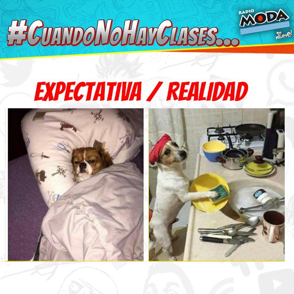 carlonchodemoda's tweet photo. Tema #CuandoNoHayClases
Cuando por algún motivo se suspenden las clases, nuestras actividades cambian y repercute en toda la familia @ModaFM https://t.co/ji2R035MjY