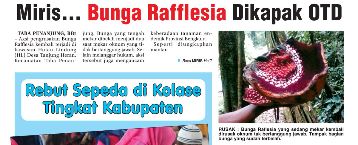 7000 Koleksi Gambar Kolase Bunga Raflesia HD Terbaru 