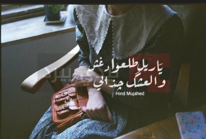 نور الهدئ (@1iraqmujtaba1) on Twitter photo 