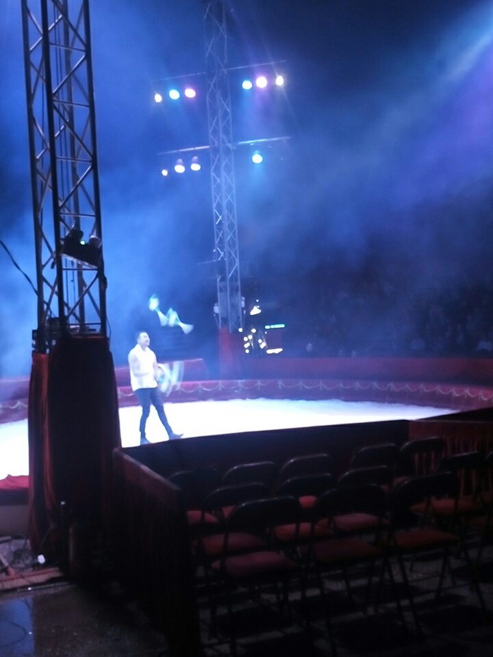 ecVM_PS's tweet photo. Moments magiques au #cirque avec toute l'école. Après les tigres et les chiens, ..   Merci à l'Apeb et aux enseignants pour leur soutien https://t.co/z0qnhfRSAw
