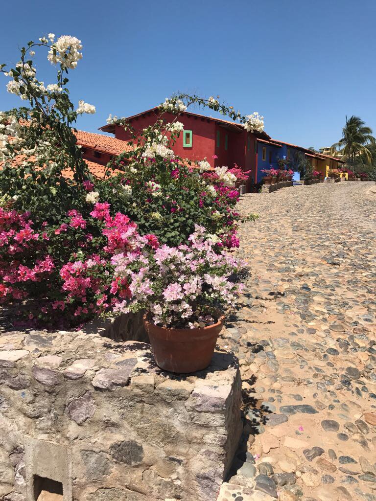 Just arriving in #Careeyes makes you fall in love. 💜💜💜#Mexico #TravelTuesday