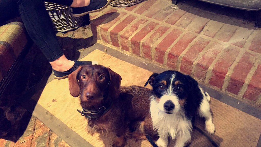 The Old Stables tweet media