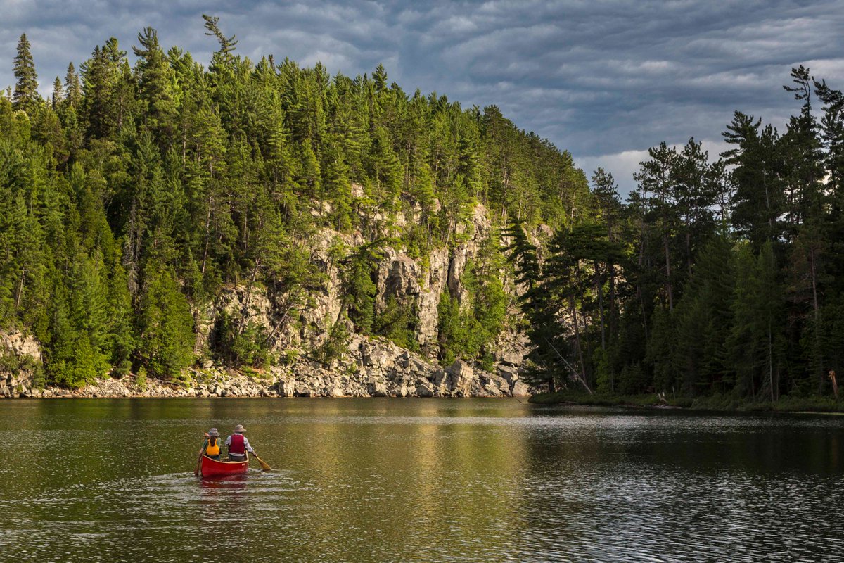OntarioParksNE's tweet photo. #InternationalDayofForests: The ancient pine forest in #ObabikaRiverPP is one of Canada's largest https://t.co/Bh5REYUEST #TemagamiTuesday https://t.co/pneNkYOVU5