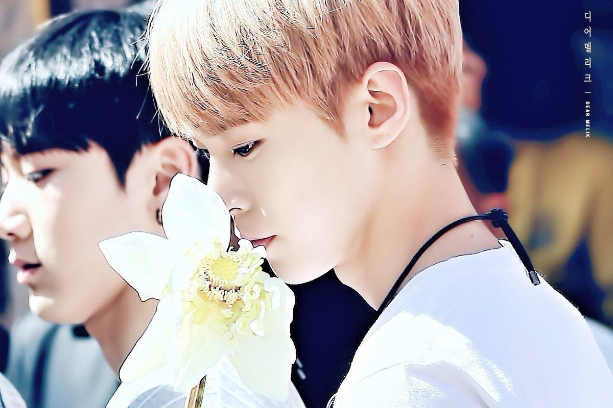NCT_teny's tweet photo. 花×NCT本当にしんどい！！！
好き！！好きすぎ！！麗しい！！儚い！！チェンマイありがとう！！ https://t.co/t2k3eZmWIY