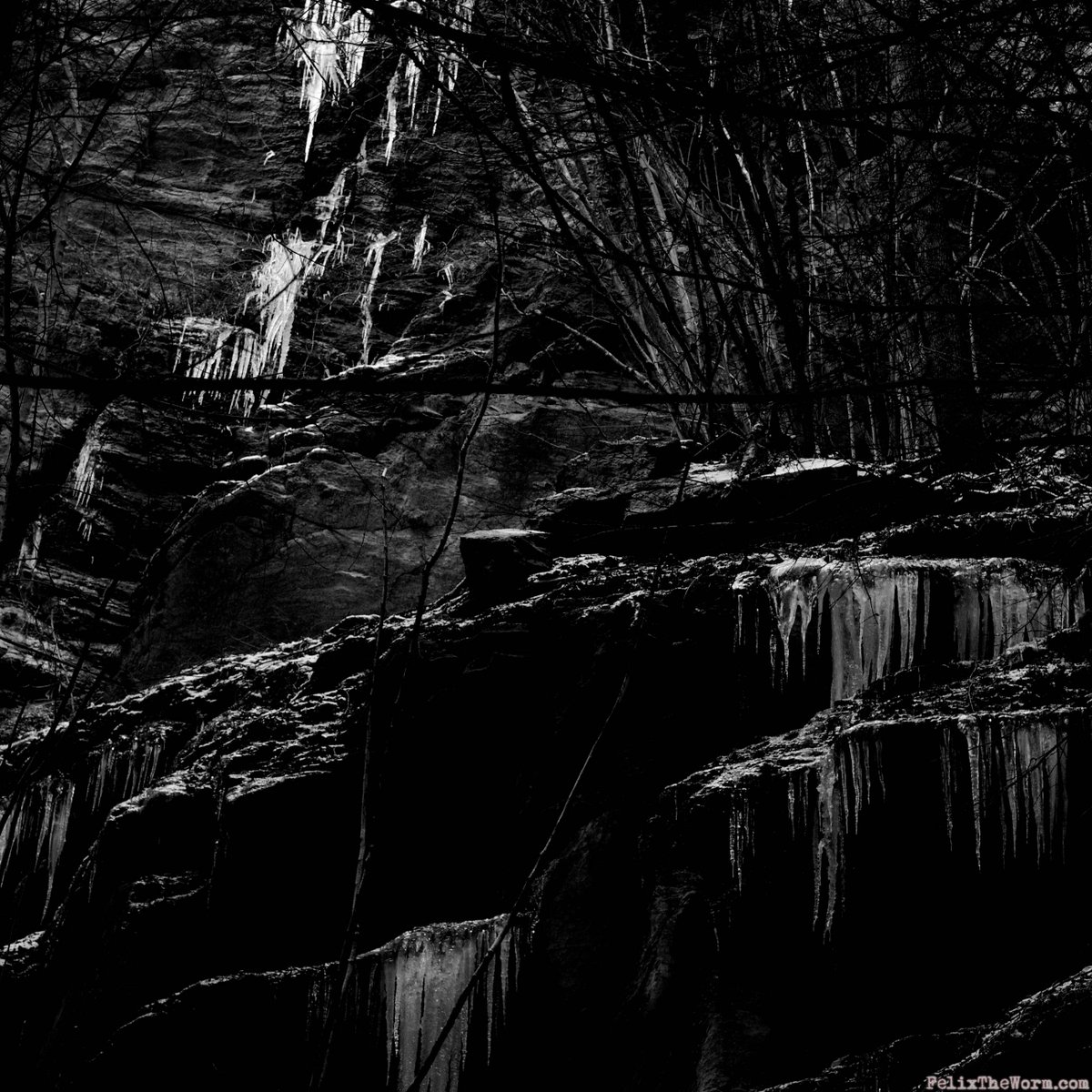 FelixTheWorm's tweet photo. Mistress is always cold about my photographs, in fact, ice cold but I am quite proud of these two..... https://t.co/00PqGsIhBz