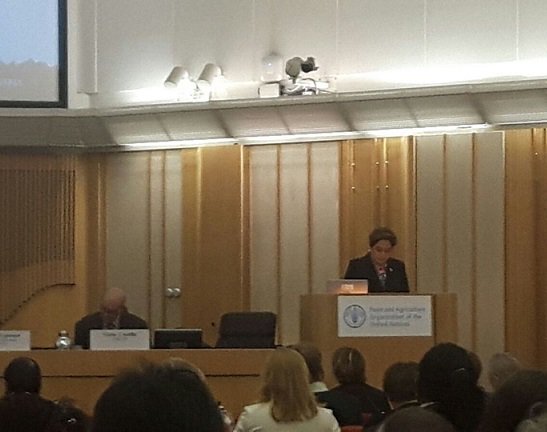 "Mitigation in the land use sector delivers a range of #adaptation co-benefits" says <a href="/PEspinosaC/">Patricia Espinosa C.</a> opening Plenary 2 of #GSOC17