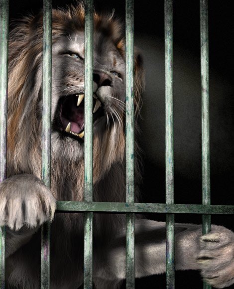 Derek Jones tweet media