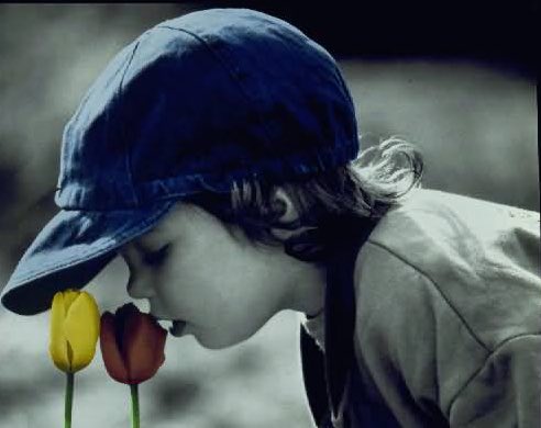 _1uau tweet picture