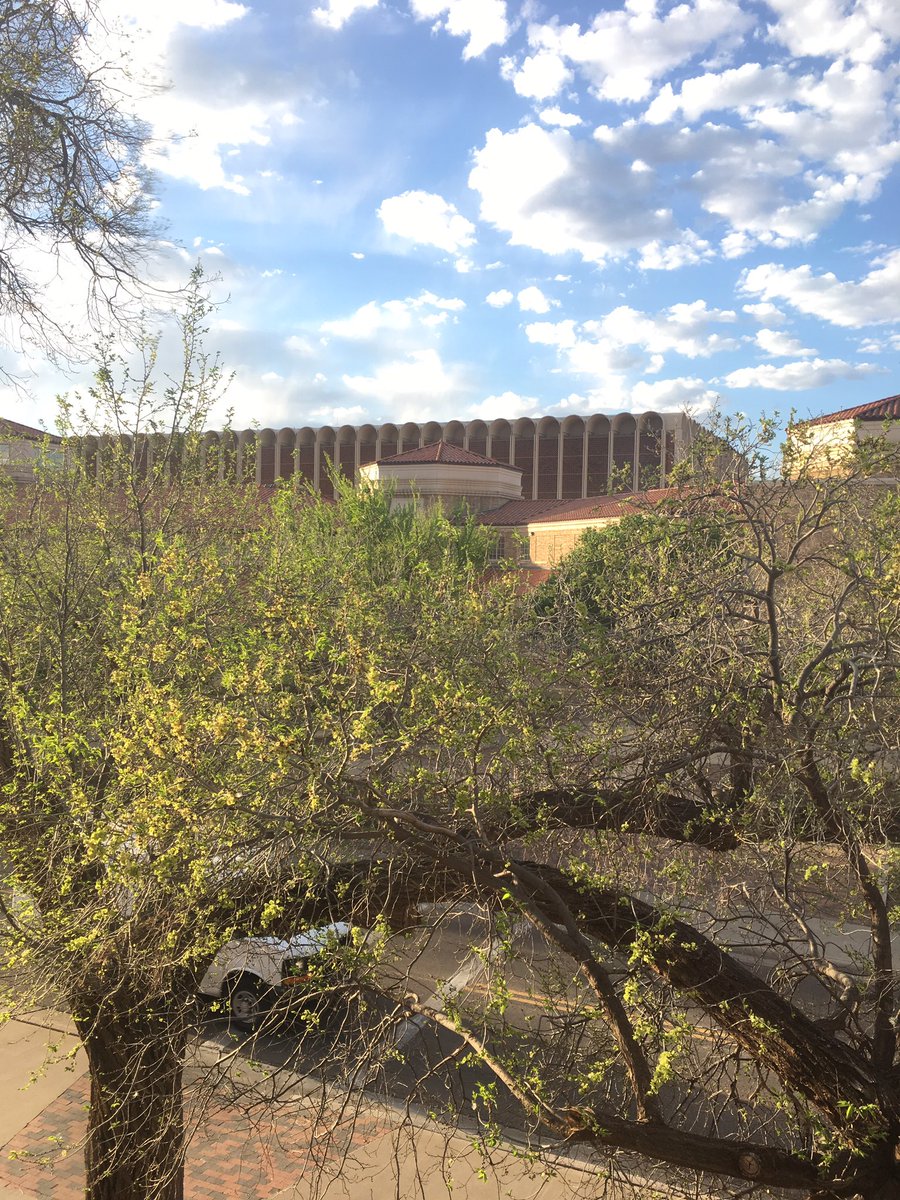 ericairlbeck's tweet photo. My morning view. #hellospringtime #TexasTech https://t.co/jHY8m0RZsn