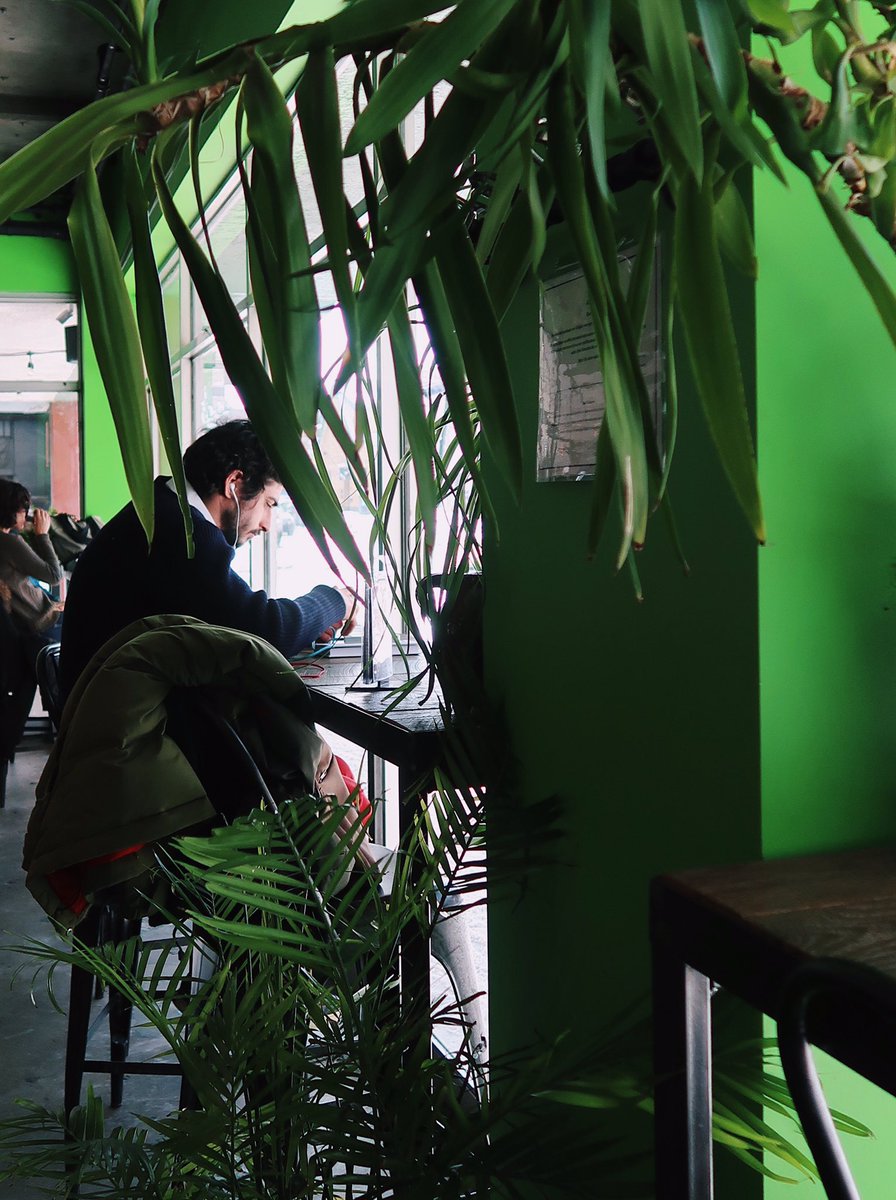 Bienvenue dans notre petite jungle à nous.✍️🌱 #LaPanthereVerte // Welcome to our jungle.✍️🌱 #LaPanthereVerte