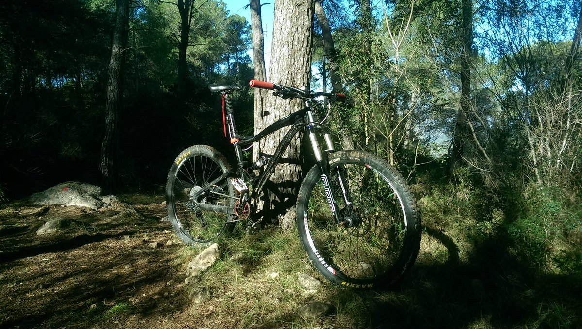 Titus Cycles tweet media
