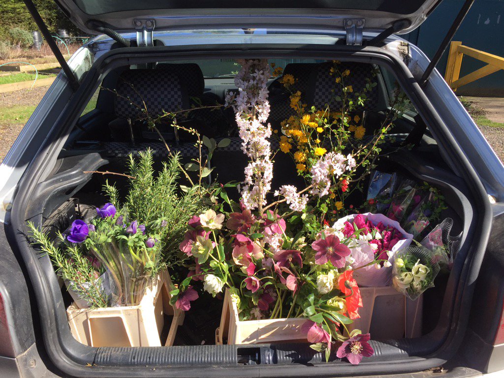 Really feels like the season is underway after my first pick up of the year <a href="/Plantpassion/">Claire Brown</a> #britishflowers