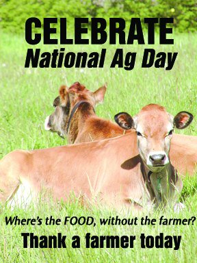 MegFoster's tweet image. Happy National Ag! Thank you American farmers! #AgDay #farmsmatter
