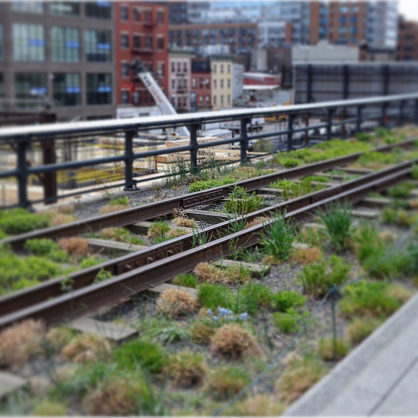 llioi's tweet photo. #nyc #chelseahighline #travel #lifestyle #lioi #jaer #mnr #food #fitness #walk #nature #outdoors https://t.co/wclltKqVRS https://t.co/OzwdBGdDcK