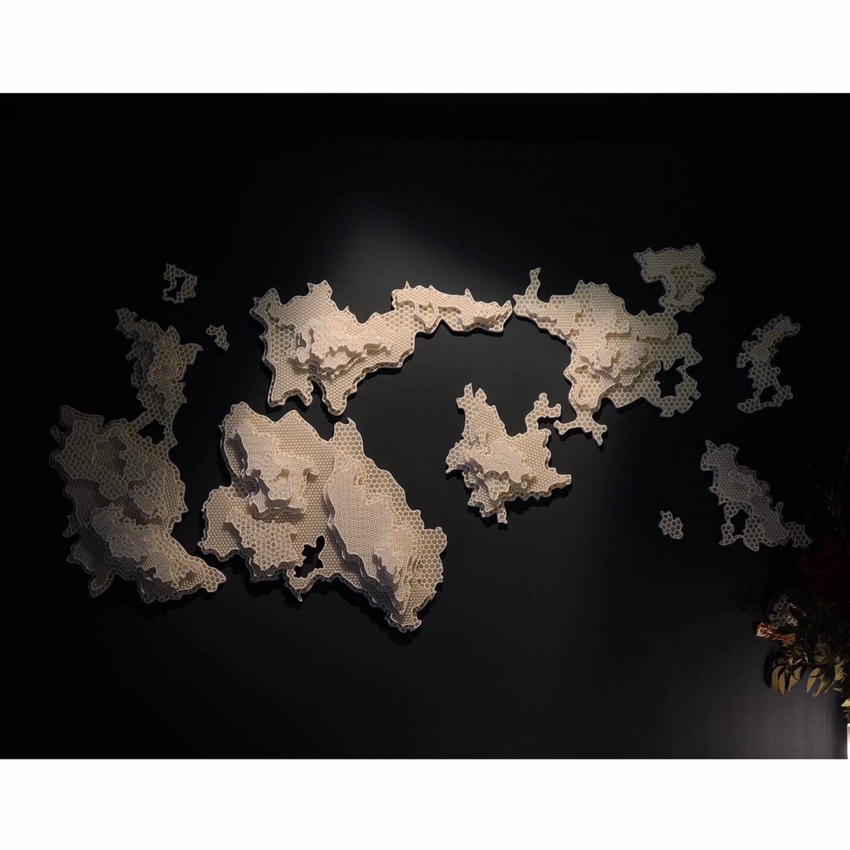 builder3Dprint's tweet photo. Wall art printed on the Builder Extreme 1000. Special thanks to @commedesmachine. #3dprinting #prototyping #artin3D https://t.co/arm1gN8GLG