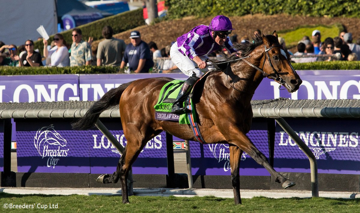 worldsbesthorse's tweet photo. Saturday's Longines Dubai Sheema Classic is headlined by last year's winner, Postponed, and Longines @BreedersCup Turf winner Highland Reel https://t.co/HN7pxceP57