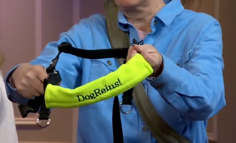 CTVYMAtlantic's tweet photo. ICYMI: Alternatives to #prongcollars and #chokechains for dogs that pull from Silvia Jay and @atlanticwoof https://t.co/NKdkJlwFgf https://t.co/opxTzeBx34