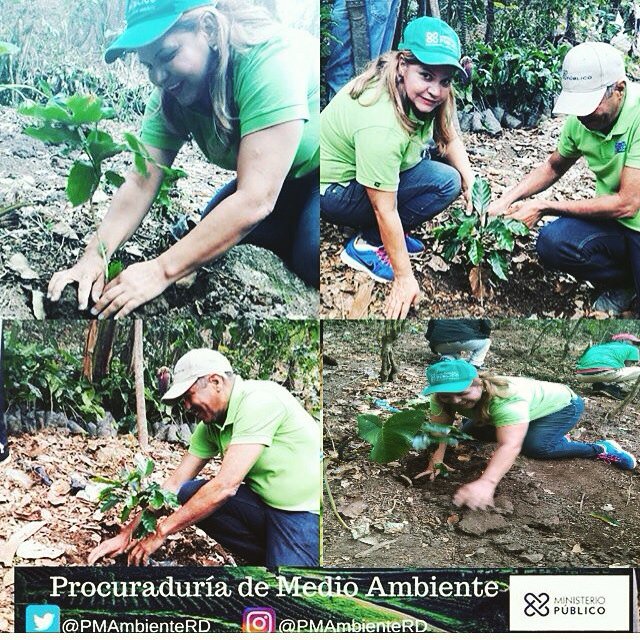 Celebramos hoy el día Mundial de la Re-forestación.