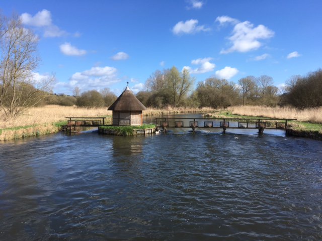 After yesterdays false start, is this the 1st official day of spring! A gin clear #chalkstream from which our #trout are grown. #testvalley