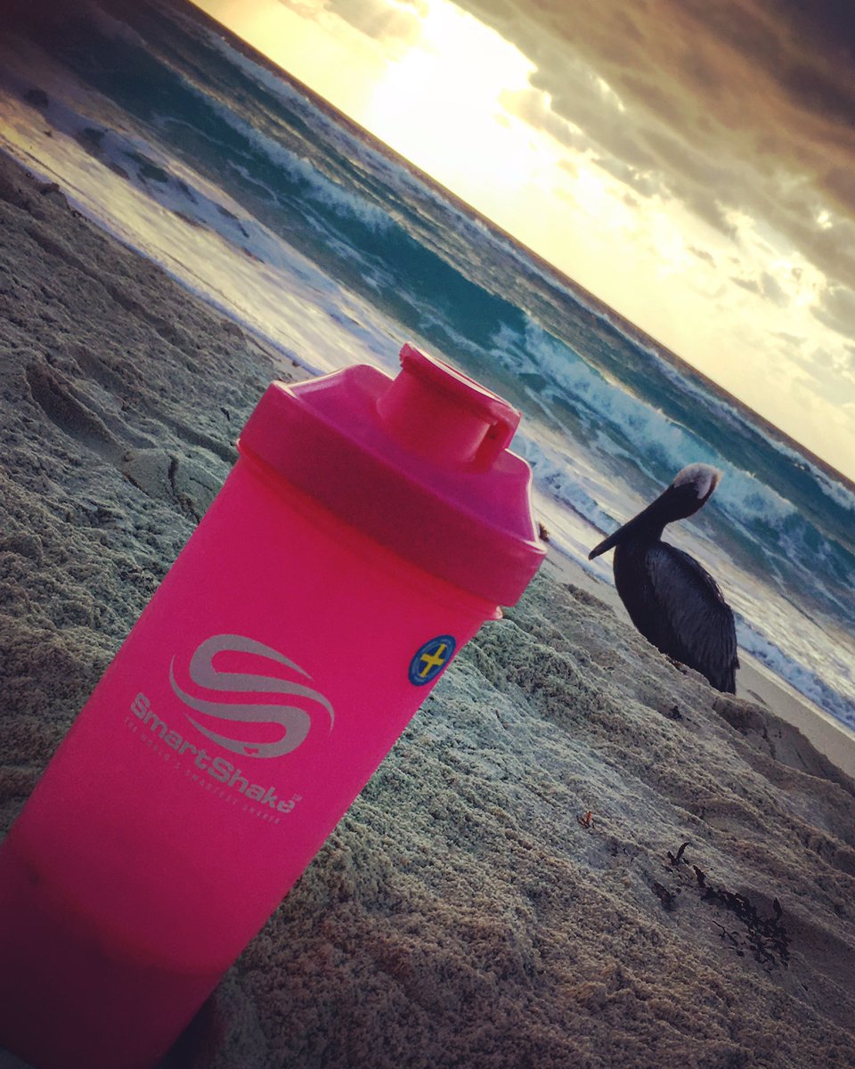aym_higher's tweet photo. When terry the terodactyl is after your #gainz @SmartShake #sunrise #smartshaker #riseandgrind #fitfam #beach #supplements #protein #gym https://t.co/09A6mIXFZ3