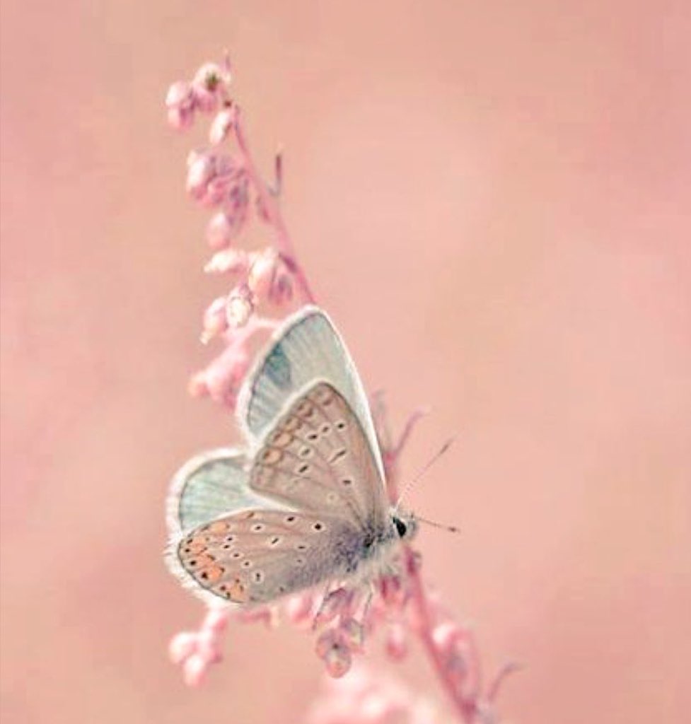 اللهم اجعلني خفيفة النفس 
لا اؤذي احد وطيبة اللسان 
ولا اجرح احد اللهم اجعلني
 ذكرى طيبة لكل من عرفني 
واجعلني مثل غيمة مرت ثم روت ثم ولت.