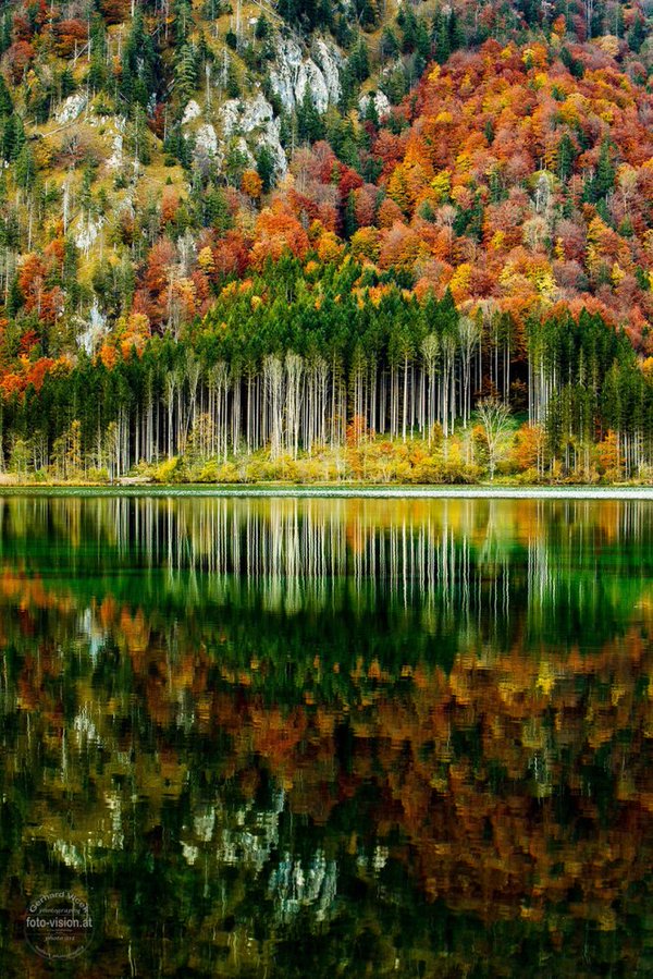 Piclogy's tweet photo. Autumn in the Austrian Alps | Photography by ©Gerhard Vlcek https://t.co/jhkW5z5rSq