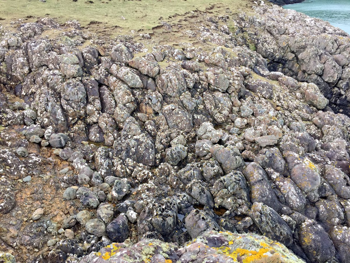 Ordovician age pillow lavas on Strumble Head, Pembrokeshire. Pillow