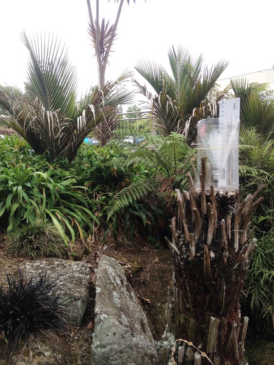 NZScienceLearn's tweet photo. We're loving our new weather instrument activities - build your own and get data collecting! https://t.co/gwvb6cMUig https://t.co/cRGdBPg7pi
