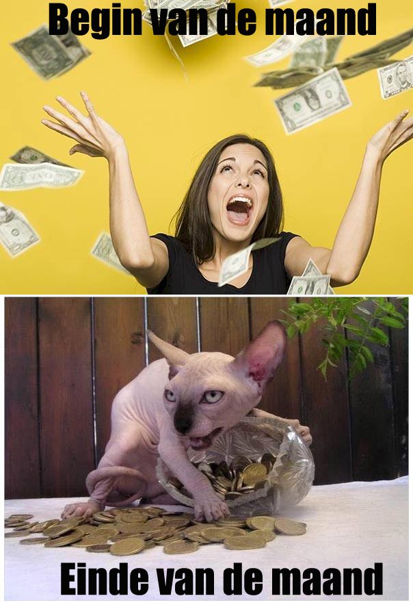 ChageNijn's tweet image. Het einde van de maand is weer in zicht.