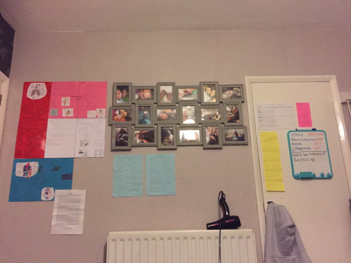 percyy1's tweet photo. Loving my bedroom wall turning into anatomy of a human and medications 😂😂 https://t.co/0b729doL8p