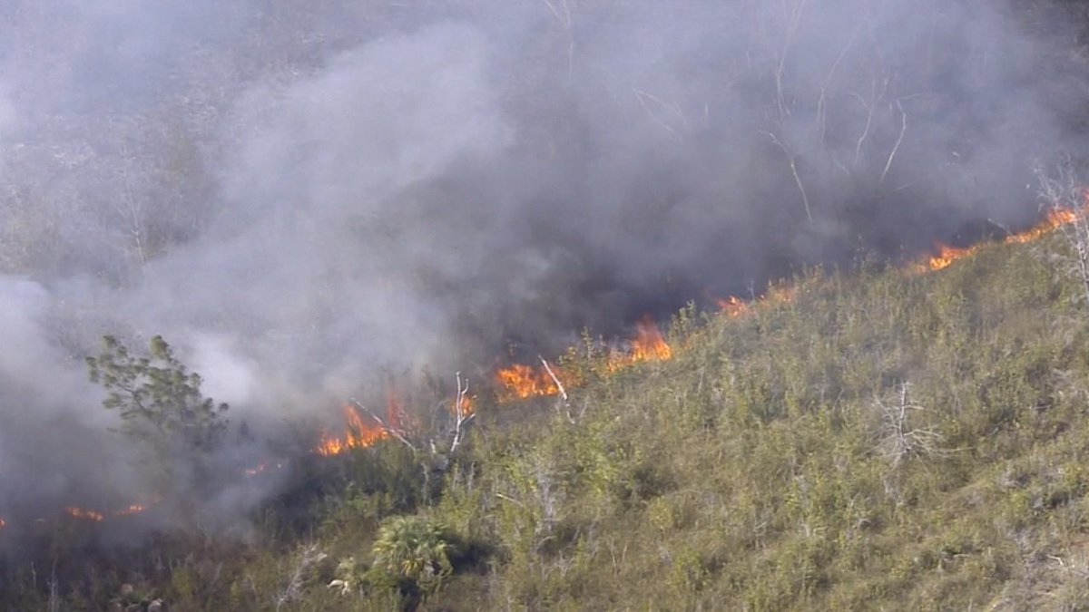 #BREAKING Parts of Tamiami Trail closed due to brush fire bit.ly/2o1wxpQ https://t.co/OvYmOtnLF3