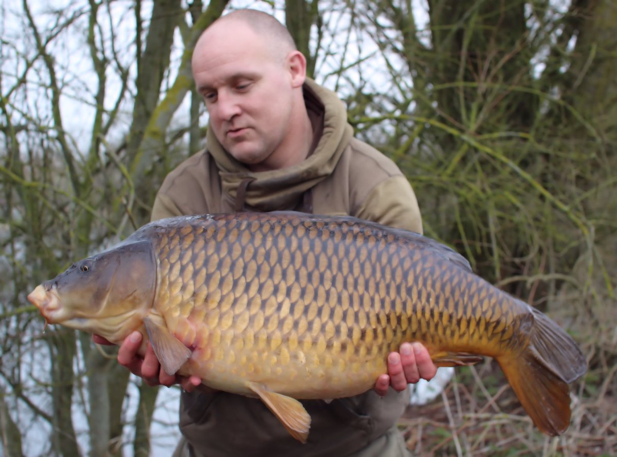 RobAndrews67's tweet photo. Couple of spring stunners. Both 34+. https://t.co/RXR736yAEG