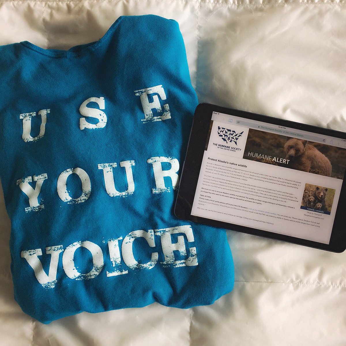 VeganJulz's tweet photo. Don't ever think you don't have a voice and never be afraid to use it. Sometimes it's as simple as a phone call or an email. #useyourvoice https://t.co/LwFVpRdbUd