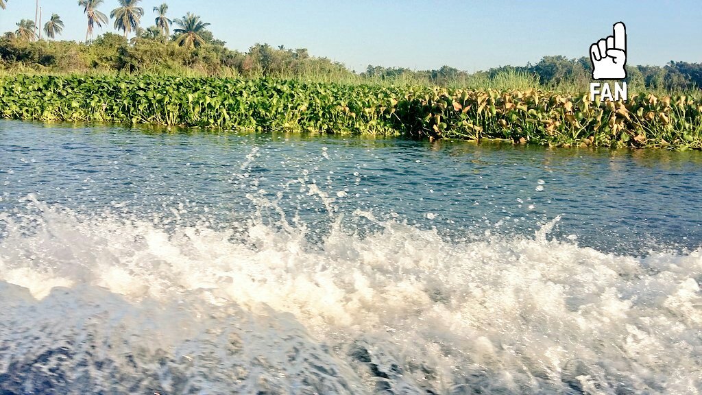 BriandaOrbe's tweet photo. #Primavera2017 #SeñorSol #Guerrero #Tetitlan #BocaChica #Playa #MiLugarFavorito #SinFiltro #FotoMia https://t.co/k7xVjFYmbV
