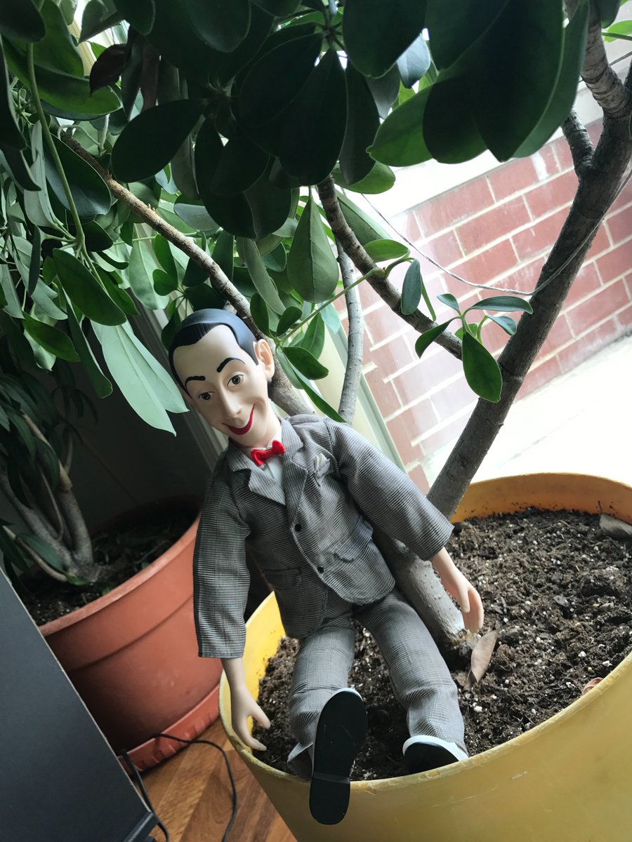 Caseywhosthat's tweet photo. The secret to plant growth. @peeweeherman @NutmegSomething #Bio120Sp17 https://t.co/ENb2nSonVh