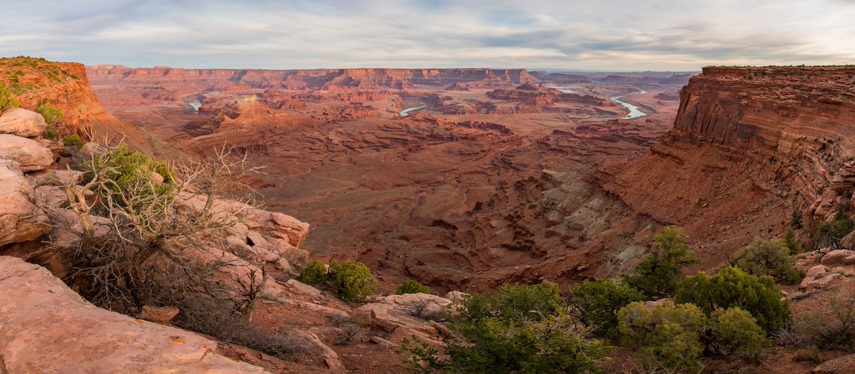 How to wake up. Step one, this. #thatisall  #outsidemvmt #getoutstayout