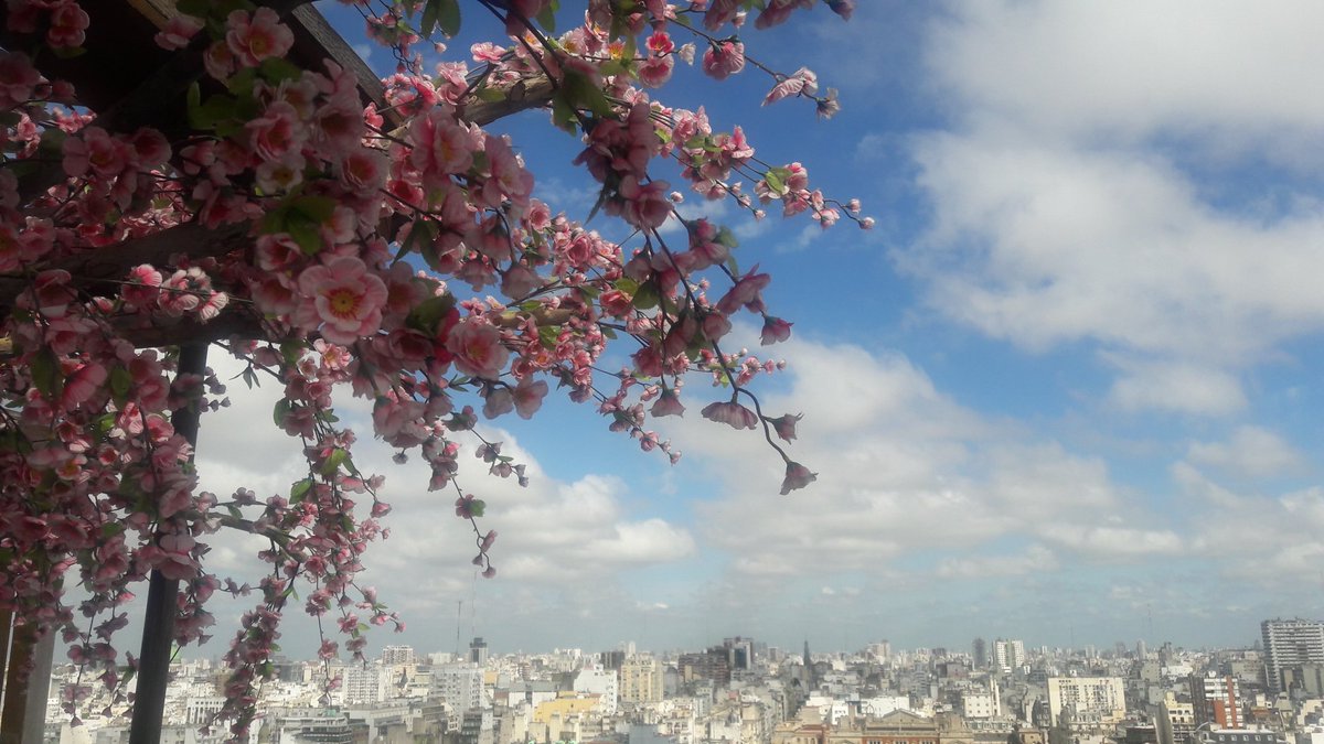 PatyGallardo's tweet photo. #Martes #color ROSADO #AMOR . #Foto @PatyGallardo en el hotel @PanamericanoAR @ElColorComunica #díainternacionaldelcolor ciudad #BuenosAires https://t.co/maQCFYgSFR