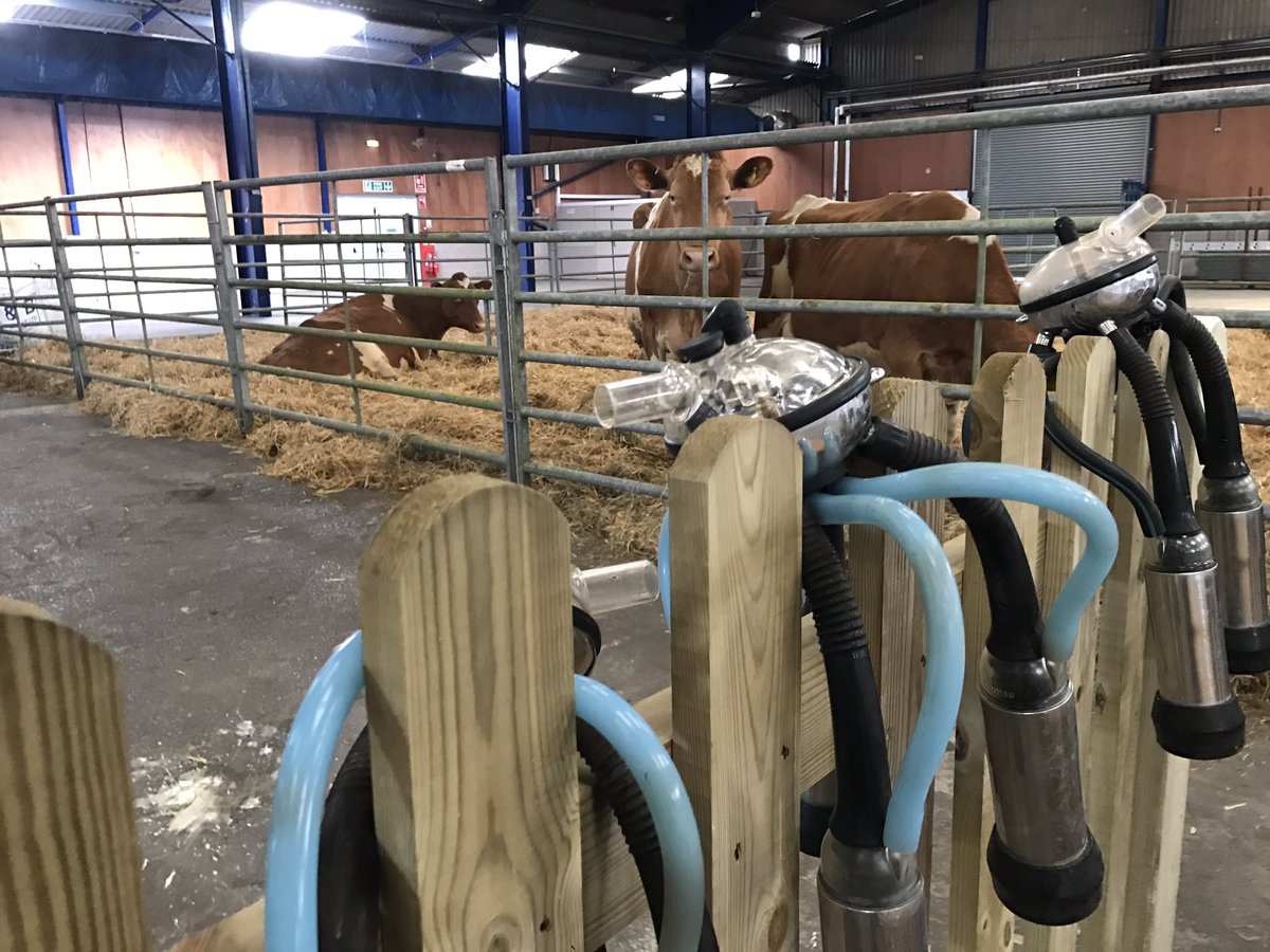 The <a href="/Hurdlebrook/">Hurdlebrook</a> Hurd have arrived ready for tomorrow's Field to Food Learning Day!