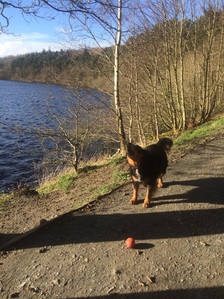 HeadingleyUp's tweet photo. Perks of coming to work with me on site. Weekend walk on a week day! https://t.co/Uxy5fnjCOr