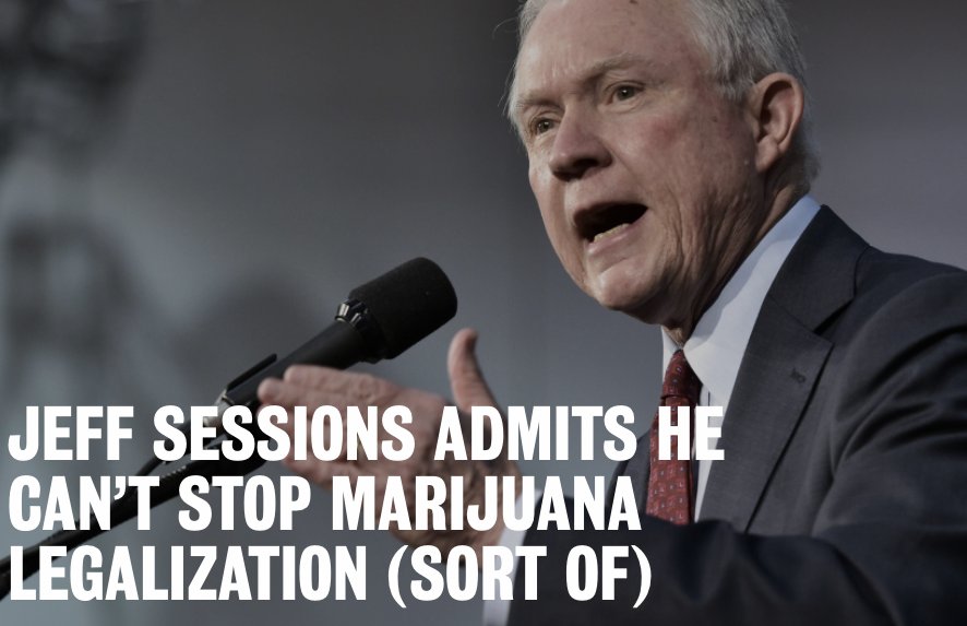 DenverNORML's tweet image. This AG is a disgrace! U BETTER CHECK URSELF BEFORE U WRECK URSELF
tinyurl.com/hxc6xqz
#activism #wontgiveup #freedom #Denver #NORML